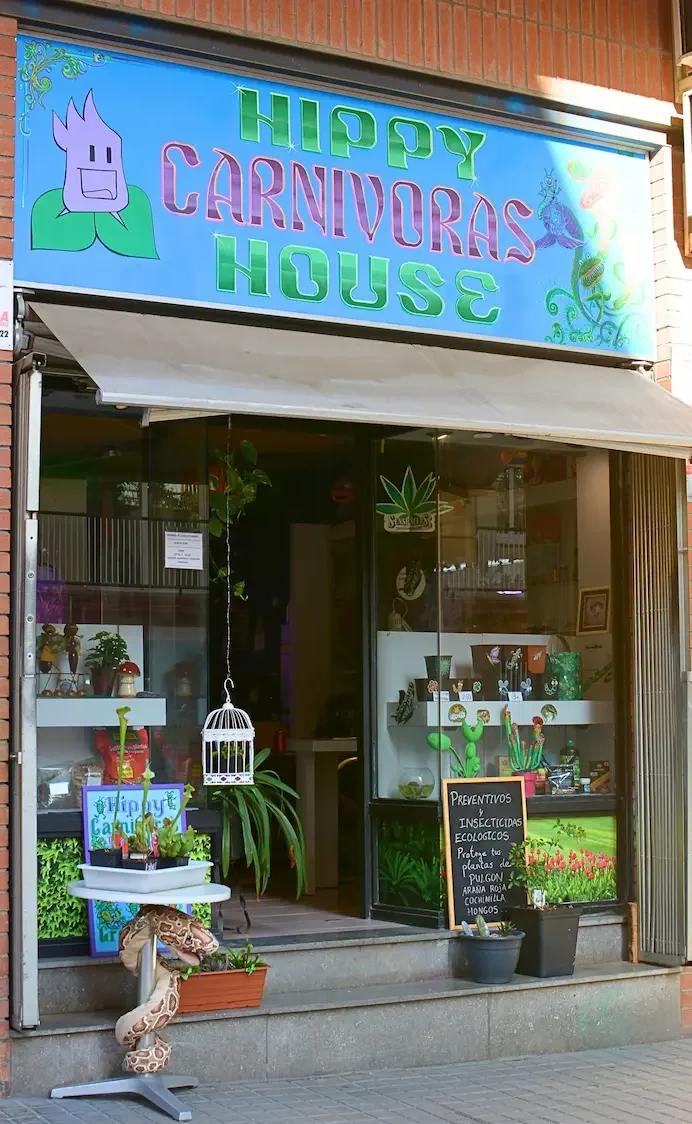 Catálogo especializado en Venus atrapamoscas, Sarracenias, Droseras y más. Envíos a toda España desde nuestro cultivo en Barcelona.